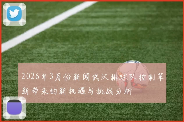2026年3月份新闻武汉排球队控制革新带来的新机遇与挑战分析